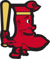 Boston Red Sox 1950-1959 Alternate Logo Sticker Heat Transfer