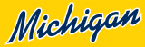 Michigan Wolverines 1996-Pres Wordmark Logo 14 Sticker Heat Transfer