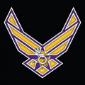 Airforce Minnesota Vikings Logo Sticker Heat Transfer