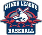 Minor League Baseball 1999-2007 Primary Logo Sticker Heat Transfer