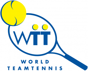 World TeamTennis 2000-2007 Primary Logo Sticker Heat Transfer