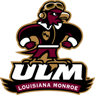 Louisiana-Monroe Warhawks 2006-2013 Mascot Logo 02 Sticker Heat Transfer