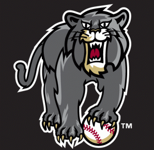 Sacramento River Cats 2005 Unused Logo decal sticker