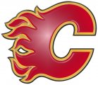 Calgary Flames Plastic Effect Logo Sticker Heat Transfer