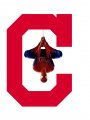 Cleveland Indians Spider Man Logo Sticker Heat Transfer