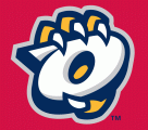 Orem Owlz 2005-Pres Cap Logo 3 decal sticker