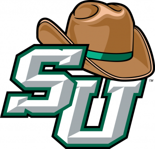 Stetson Hatters 2008-2017 Primary Logo decal sticker