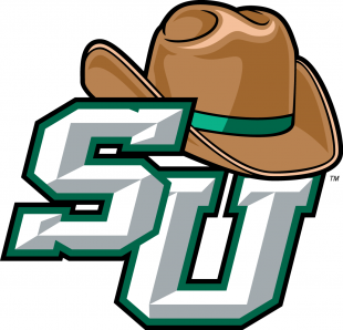 Stetson Hatters 2008-2017 Primary Logo Sticker Heat Transfer