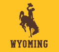 Wyoming Cowboys 2013-Pres Alternate Logo 02 Sticker Heat Transfer