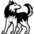 Northern Illinois Huskies 2001-Pres Alternate Logo 01 decal sticker