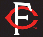 Rochester Red Wings 2003-2007 Cap Logo Sticker Heat Transfer