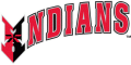 Indianapolis Indians 1998-Pres Wordmark Logo decal sticker