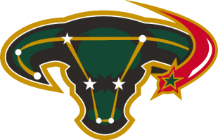 Dallas Stars 2003 04-2005 06 Alternate Logo decal sticker