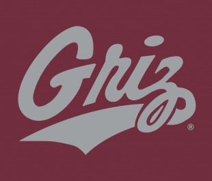 Montana Grizzlies 1996-Pres Alternate Logo 04 Sticker Heat Transfer