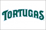 Daytona Tortugas 2015-Pres Jersey Logo Sticker Heat Transfer