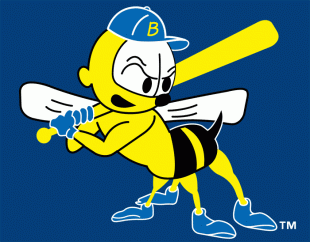 Burlington Bees 2007-Pres Cap Logo 2 decal sticker