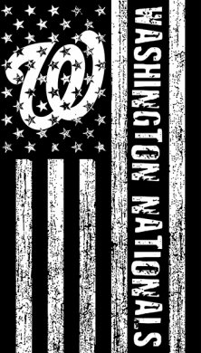 Washington Nationals Black And White American Flag logo decal sticker