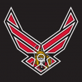 Airforce Ottawa Senators Logo decal sticker