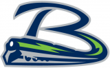 Bloomington Thunder 2014 15-Pres Secondary Logo decal sticker