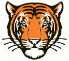 Princeton Tigers 2003-Pres Alternate Logo 01 Sticker Heat Transfer