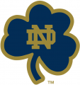 Notre Dame Fighting Irish 1994-Pres Alternate Logo 15 decal sticker
