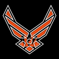 Airforce Cincinnati Bengals logo Sticker Heat Transfer