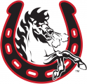 Calgary Stampeders 2003-Pres Alternate Logo decal sticker