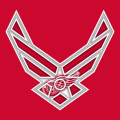 Airforce Detroit Red Wings logo Sticker Heat Transfer