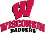 Wisconsin Badgers 2002-Pres Alternate Logo 03 Sticker Heat Transfer