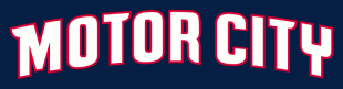 Detroit Pistons 2013-2014 Pres Wordmark Logo decal sticker