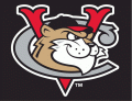 Tri-City Valleycats 2002-Pres Cap Logo decal sticker