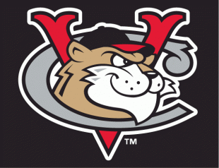 Tri-City Valleycats 2002-Pres Cap Logo Sticker Heat Transfer