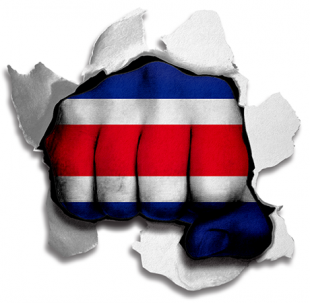 Fist Costa Rica Flag Logo Sticker Heat Transfer