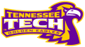 Tennessee Tech Golden Eagles 2006-Pres Alternate Logo 03 decal sticker