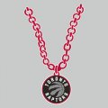 Toronto Raptors Necklace logo decal sticker