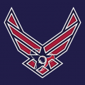 Airforce Houston Texans Logo Sticker Heat Transfer