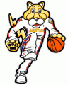 NBA All-Star Game 2004-2005 Mascot Logo Sticker Heat Transfer