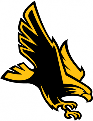 Southern Miss Golden Eagles 2003-Pres Alternate Logo Sticker Heat Transfer