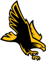 Southern Miss Golden Eagles 2003-Pres Alternate Logo decal sticker