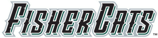 New Hampshire Fisher 2004-2007 Wordmark Logo Sticker Heat Transfer