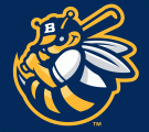 Burlington Bees 2007-Pres Cap Logo decal sticker