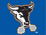 Durham Bulls 2000-2012 Cap Logo decal sticker