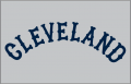Cleveland Indians 1922-1928 Jersey Logo decal sticker
