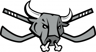 San Antonio Rampage 2007 08-Pres Secondary Logo decal sticker