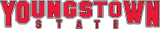 Youngstown State Penguins 1993-Pres Wordmark Logo 01 Sticker Heat Transfer