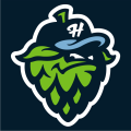 Hillsboro Hops 2013-Pres Cap Logo Sticker Heat Transfer