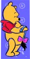 Disney Pooh Logo 16 Sticker Heat Transfer
