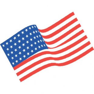 Flag Logo 22