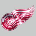 Detroit Red Wings Stainless steel logo decal sticker