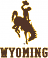 Wyoming Cowboys 2013-Pres Alternate Logo decal sticker